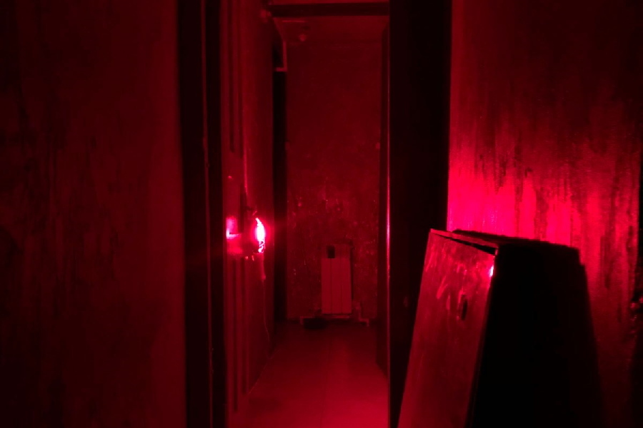 Квест в реальности Паразиты от компании Quest Zone Квест в реальности Паразиты от компании Quest Zone